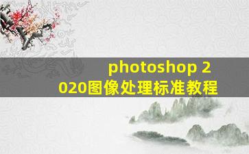 photoshop 2020图像处理标准教程